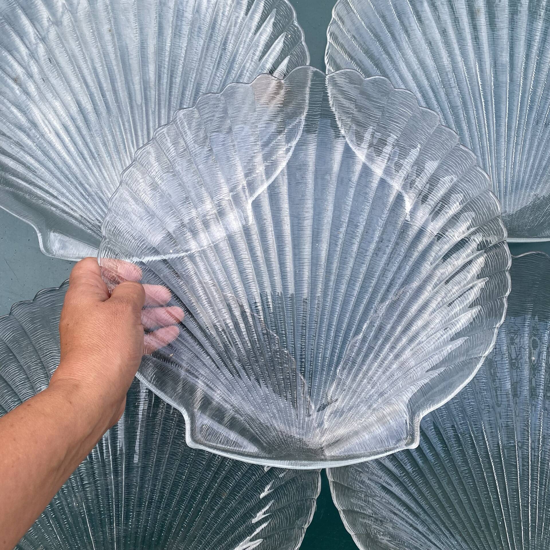 Grandes assiettes plates coquillage , Saint-Jacques 