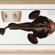 Poster about the anglerfish, based on an old engraving from 1746.