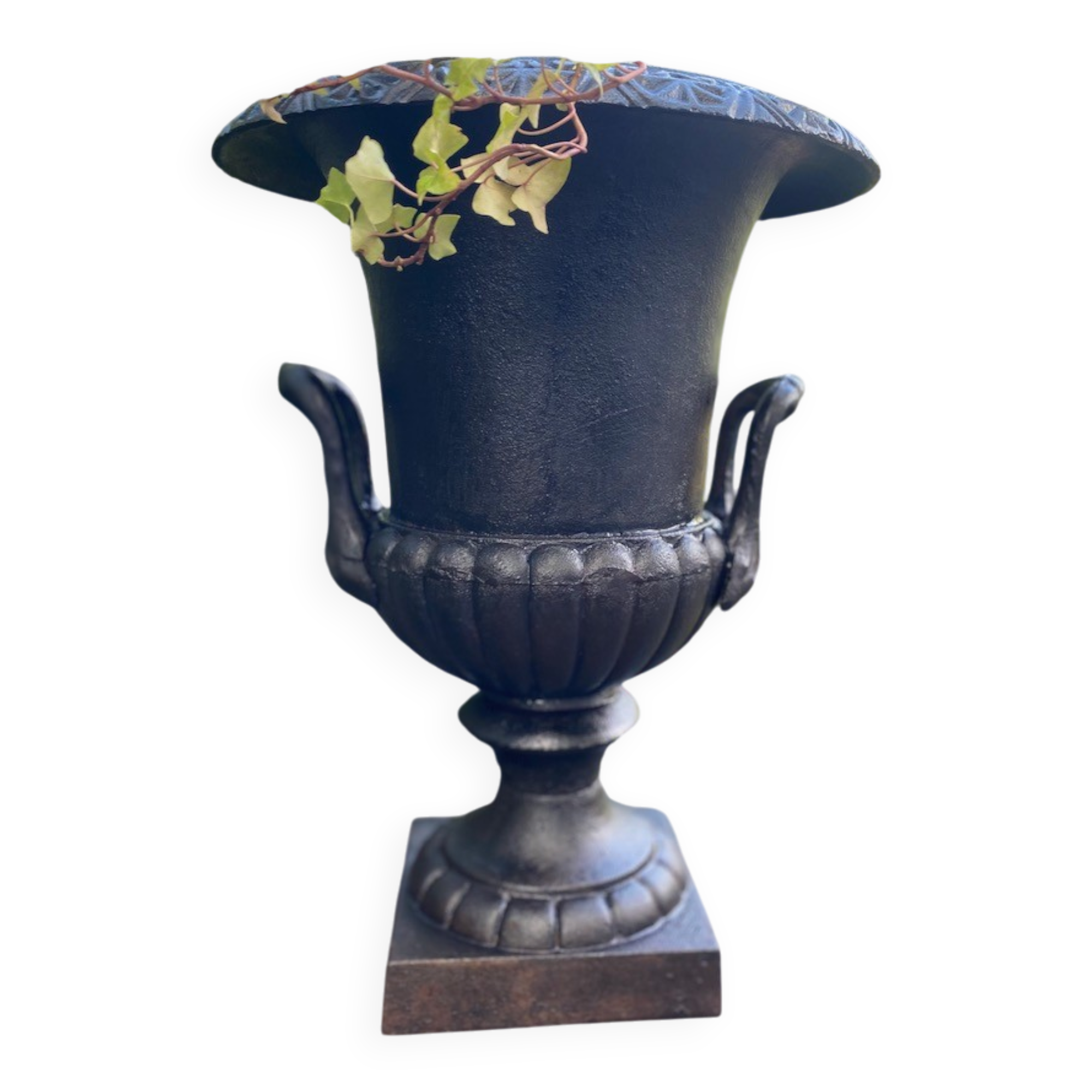 Medical vase 20th century