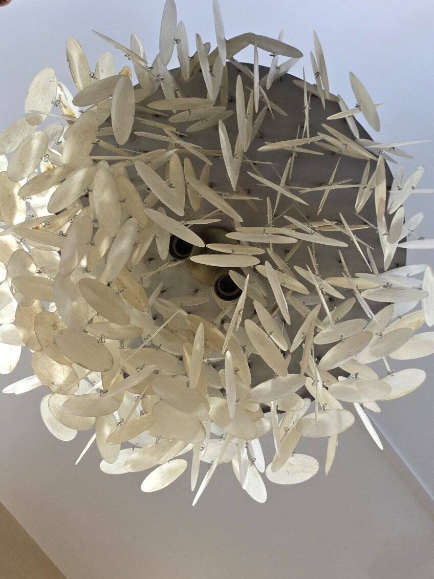 Ceiling light - Suspension -