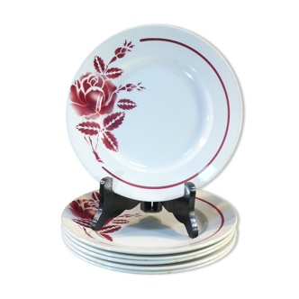 6 flat plates orchies hamage & moulins des loups red flowers