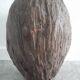 Terracotta head