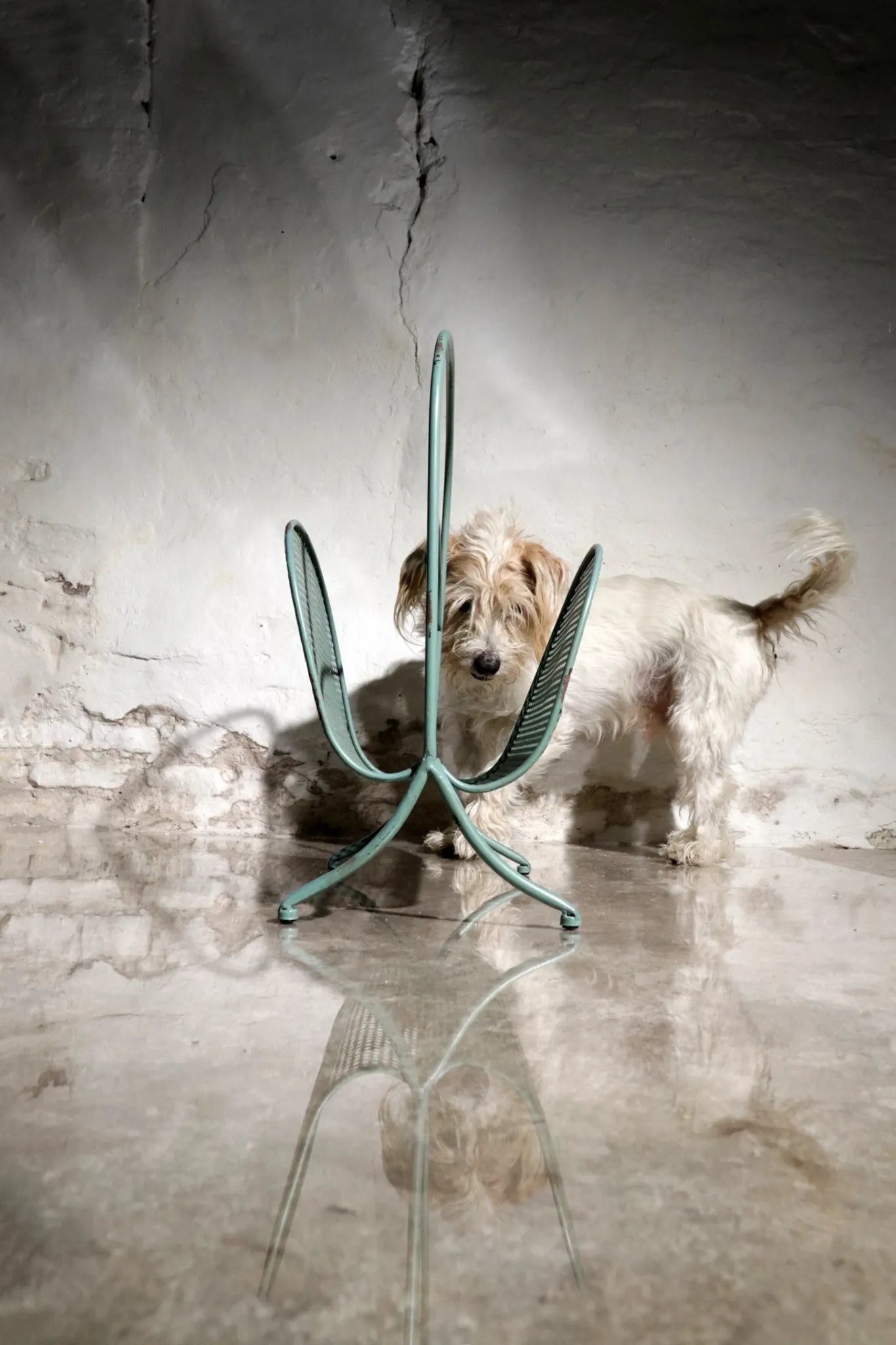 Vintage design metal magazine rack in mint green, Mathieu Matégot style