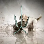 Vintage design metal magazine rack in mint green, Mathieu Matégot style