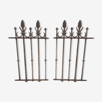 2 19th century cast iron gates/railings