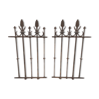 2 19th century cast iron gates/railings