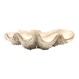 Holy water stoup shell emptier, 1970s