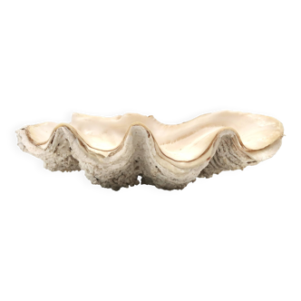 Holy water stoup shell emptier, 1970s
