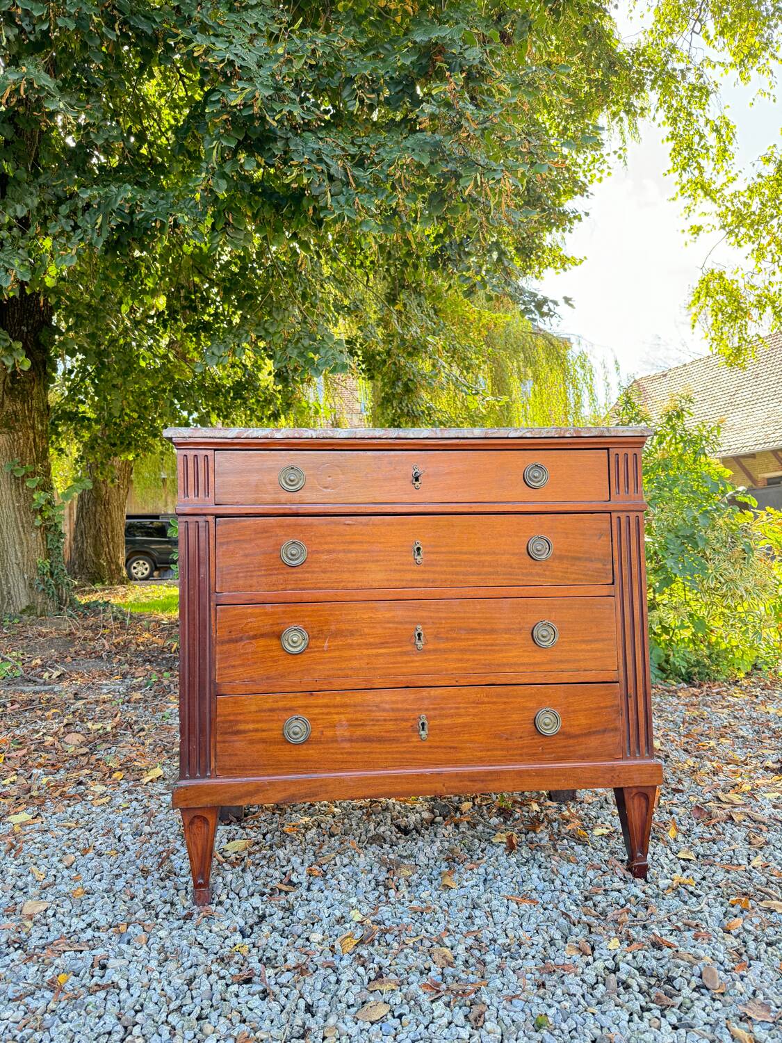 Louis XVI Style Mahogany Chest of Drawers, 19th Century