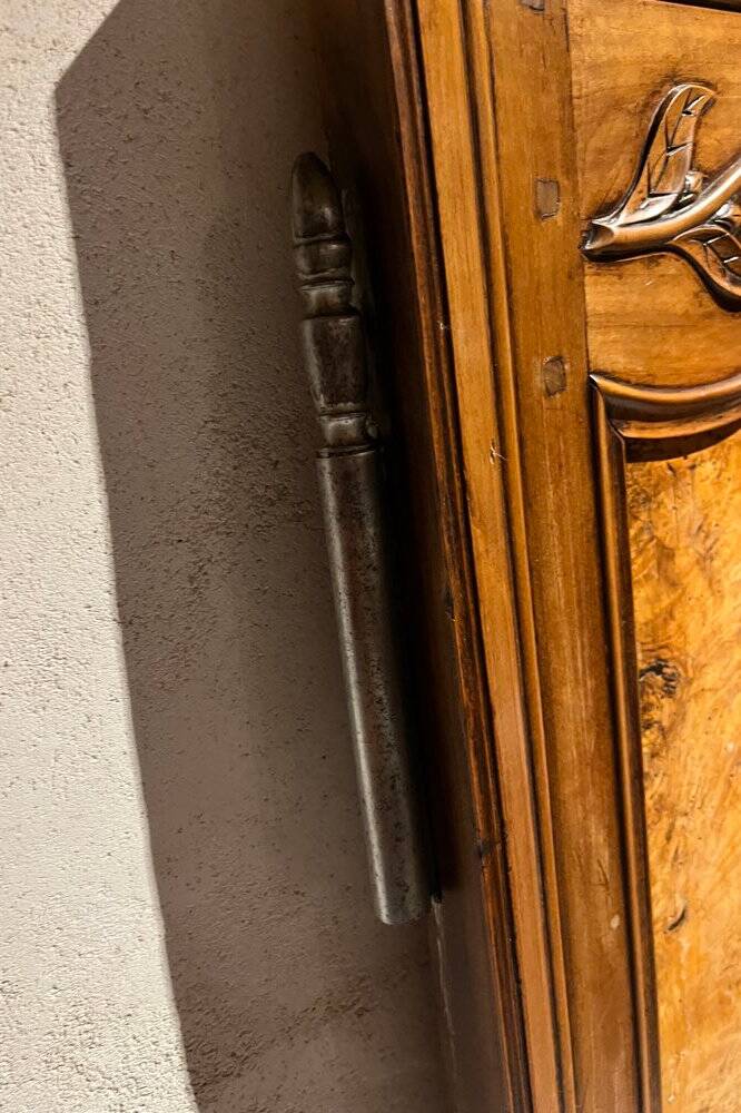 Pair of 19th-century walnut doors with walnut burl