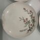 6 plates for dessert winterling bavaria collection mobil