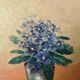 Acrylic on canvas still life bohemian countryside decoration small format