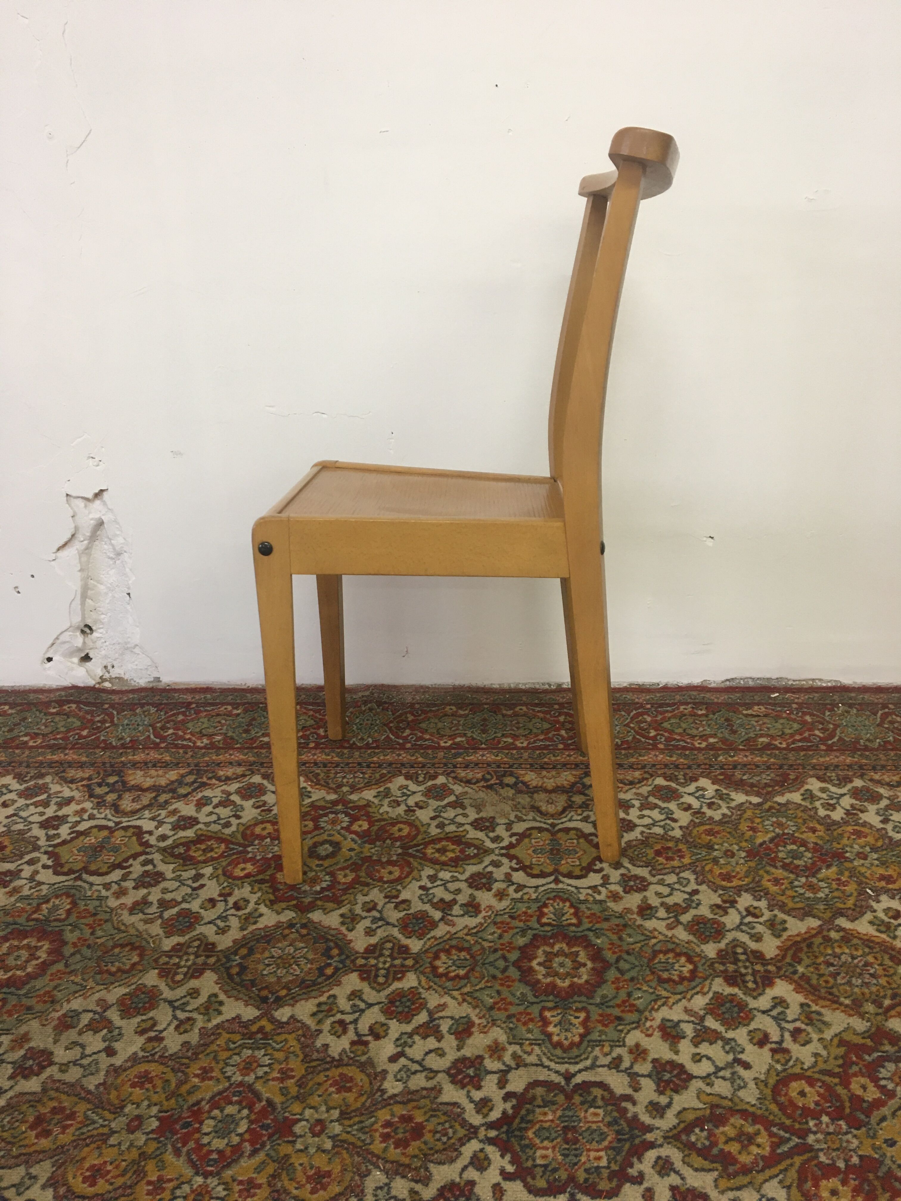 Stella beech chair 1950