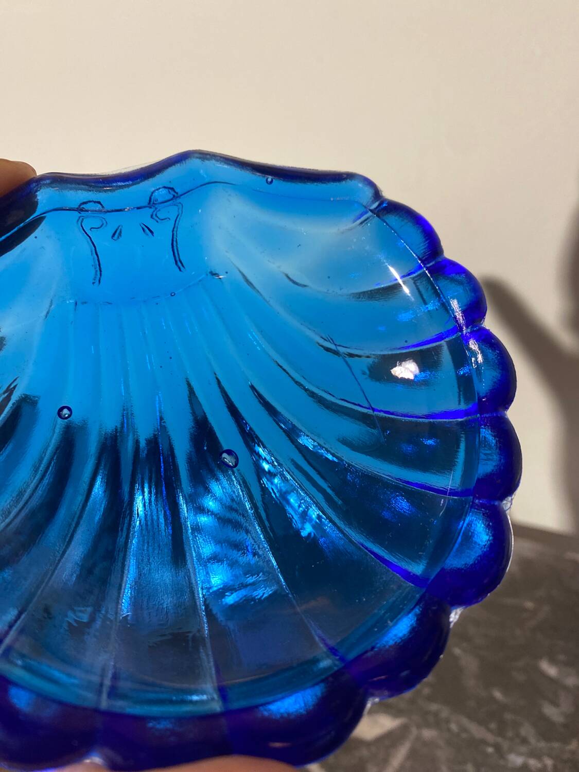 Beurrier coquillage
