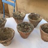 Gem pot