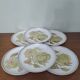 6 stoneware dinner plates