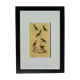 Original Ornithological plate " Meunier - Crik with blue face - &c... " Buffon (1836)