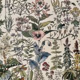 Lithograph on medicinal plants (mistletoe) - 1930