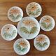Lot 6 plates + 1 dish faience St Amand years 70