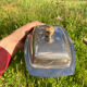 Silver metal glans butter dish