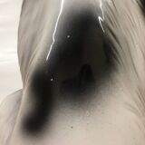 Spotted Ceramic Hound