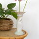 Opaline hand vase