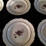Series of six flat plates in Gien parmoence model Parma