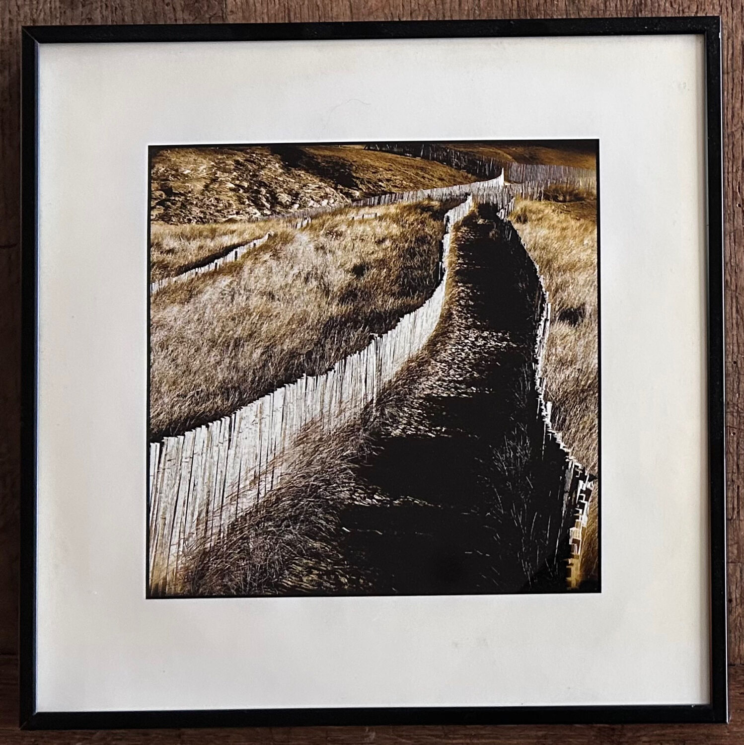 Set of 2 prints by the photographer Manfred Seelow.
