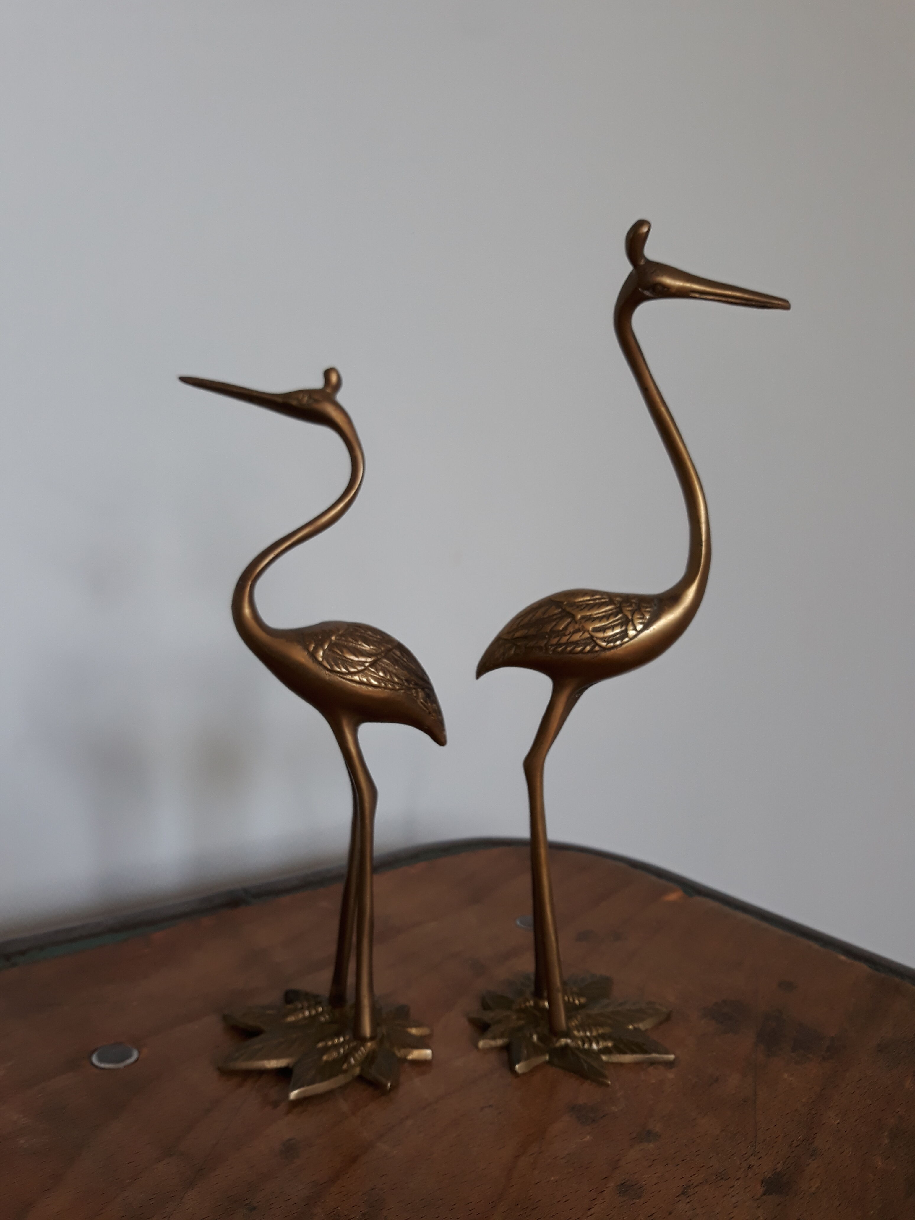 Herons or brass wader birds
