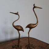 Herons or brass wader birds