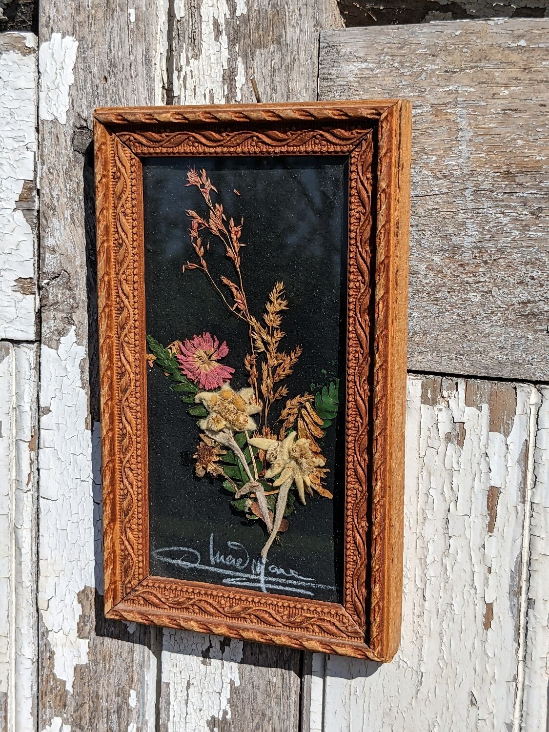 Vintage Cana of dried flowers with Edelweiss