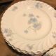 Service Haviland