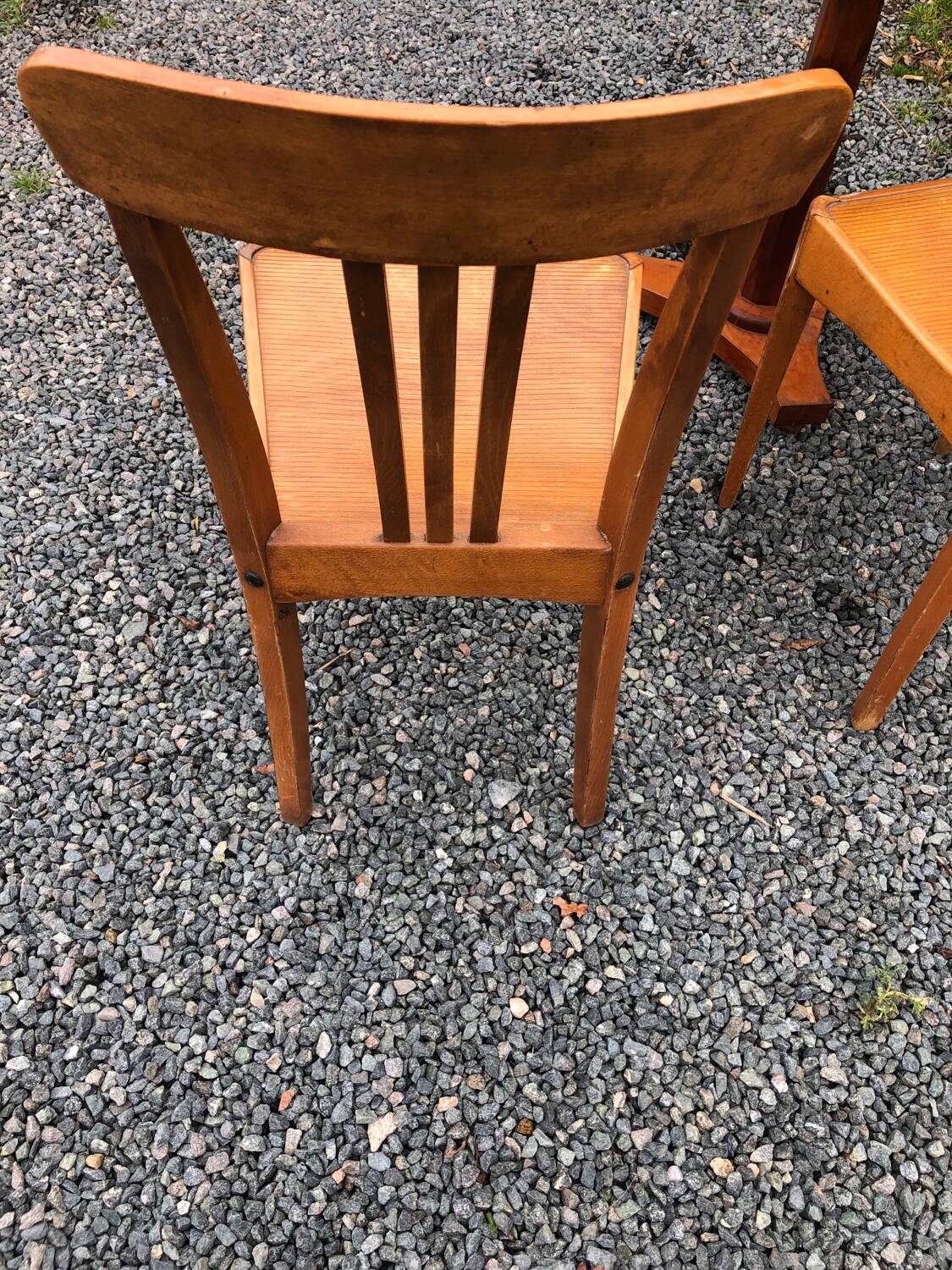 Stella chairs
