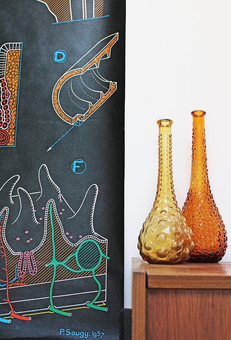 Poster of the digestive system Doctor Auzoux