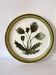 Gien ceramic dish “herbarium” 29 cm