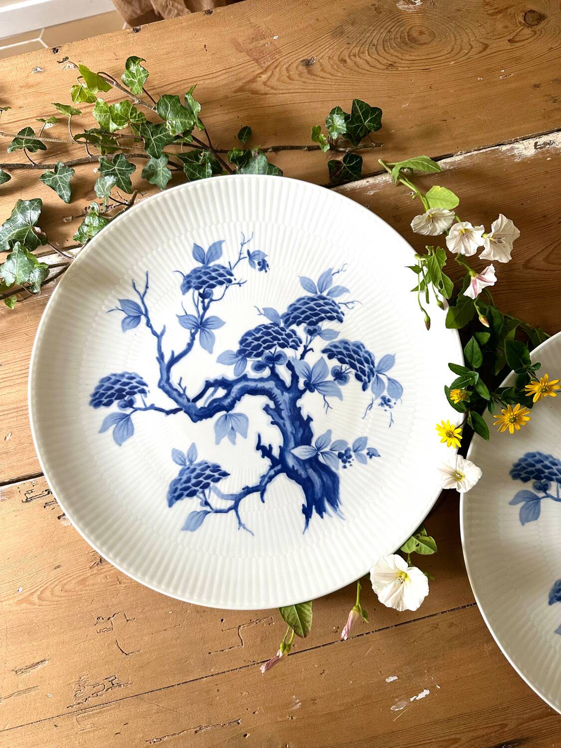 Set of two German porcelain dishes from the 1950s