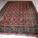 Tapis Antique Khotan d'Asie Centrale, Années 1900, Élégance Authentique