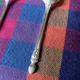 Apollo silver metal mocha spoons