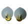 Pair of wall lamps "sheet" in opaque glass, murano, Italy 1980