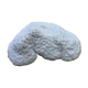 Coral bowl