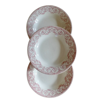 Assiettes en terre de fer