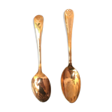 12 teaspoons - gold metal - Shell decoration - in their case