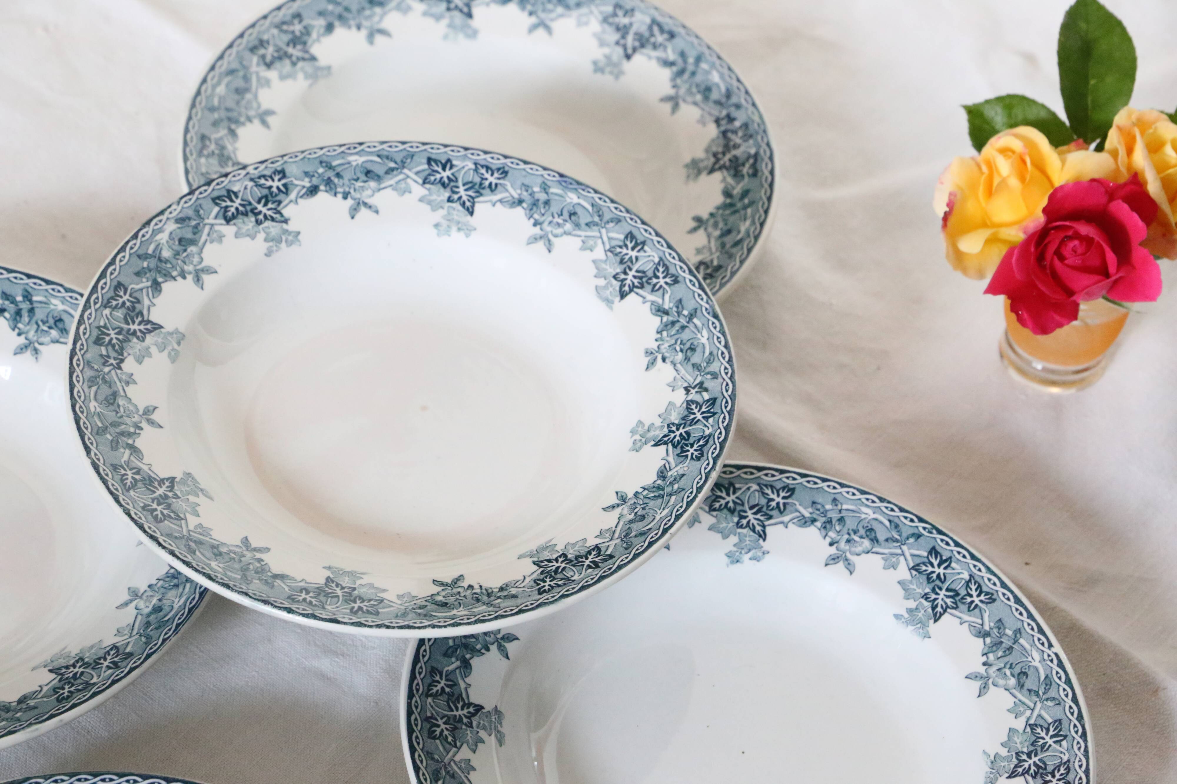 Deep plates x5, iron earth, Estival model from Saint Amand