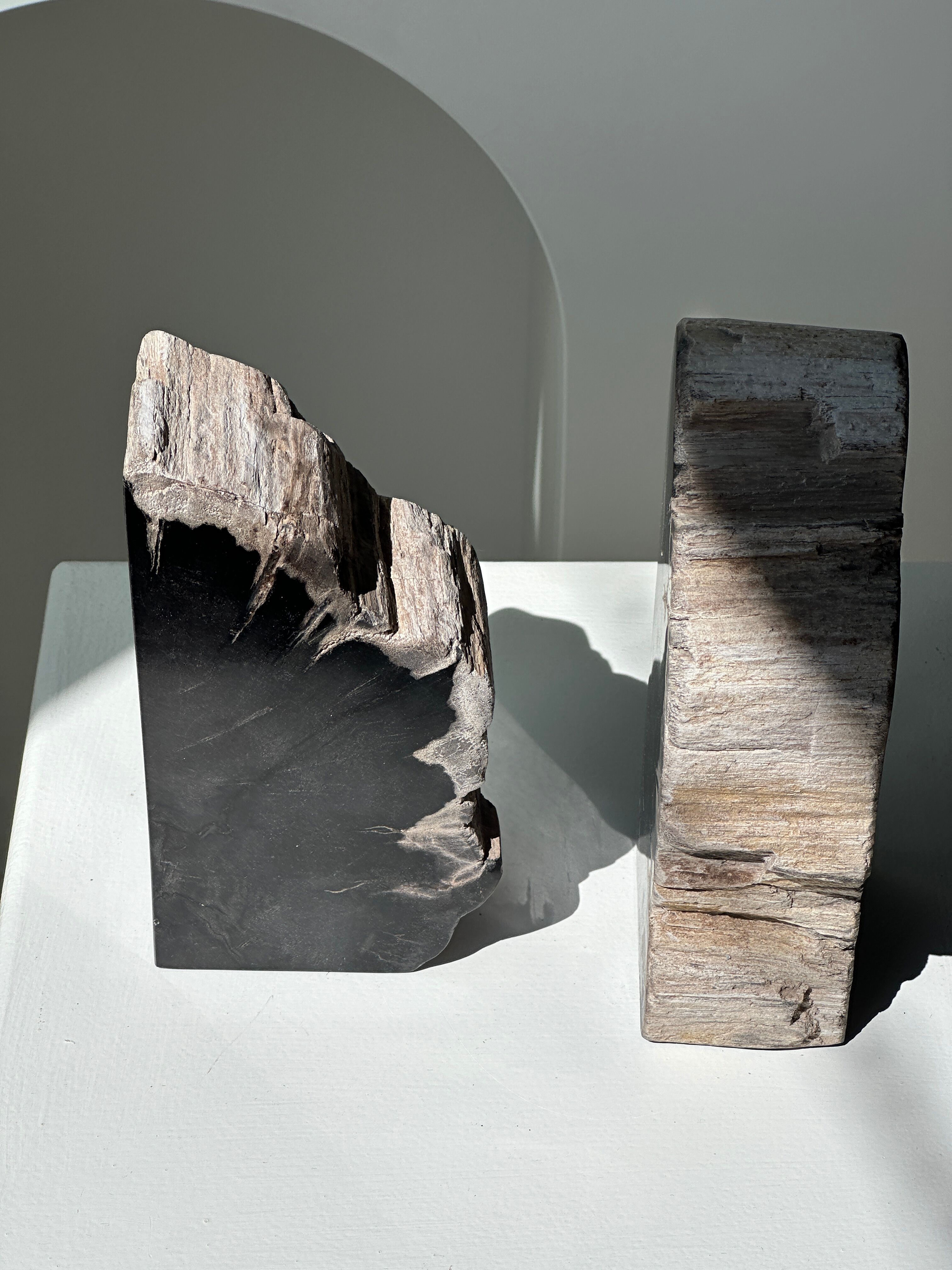 Black petrified wood bookend H17 L17 P6