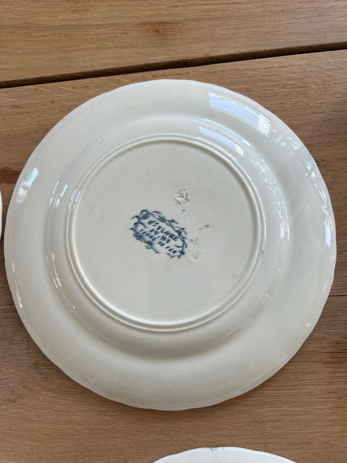 Set of 5 dessert plates Terre de fer Jules Vieillard