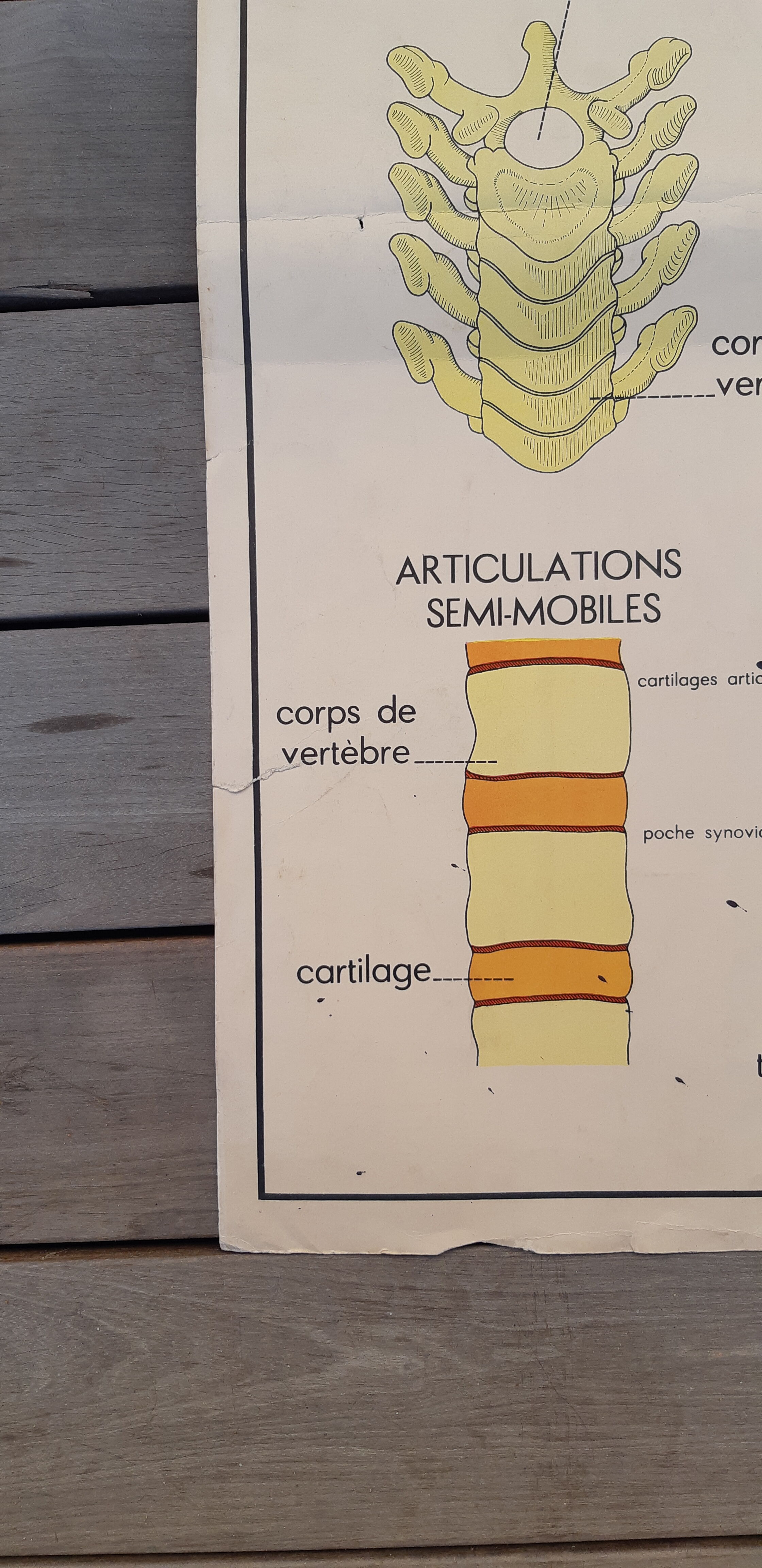 Rossignol educational posters