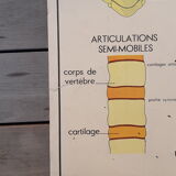 Rossignol educational posters