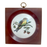 Porcelain and bakelite frame
