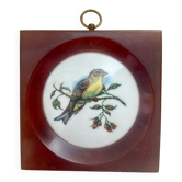 Porcelain and bakelite frame