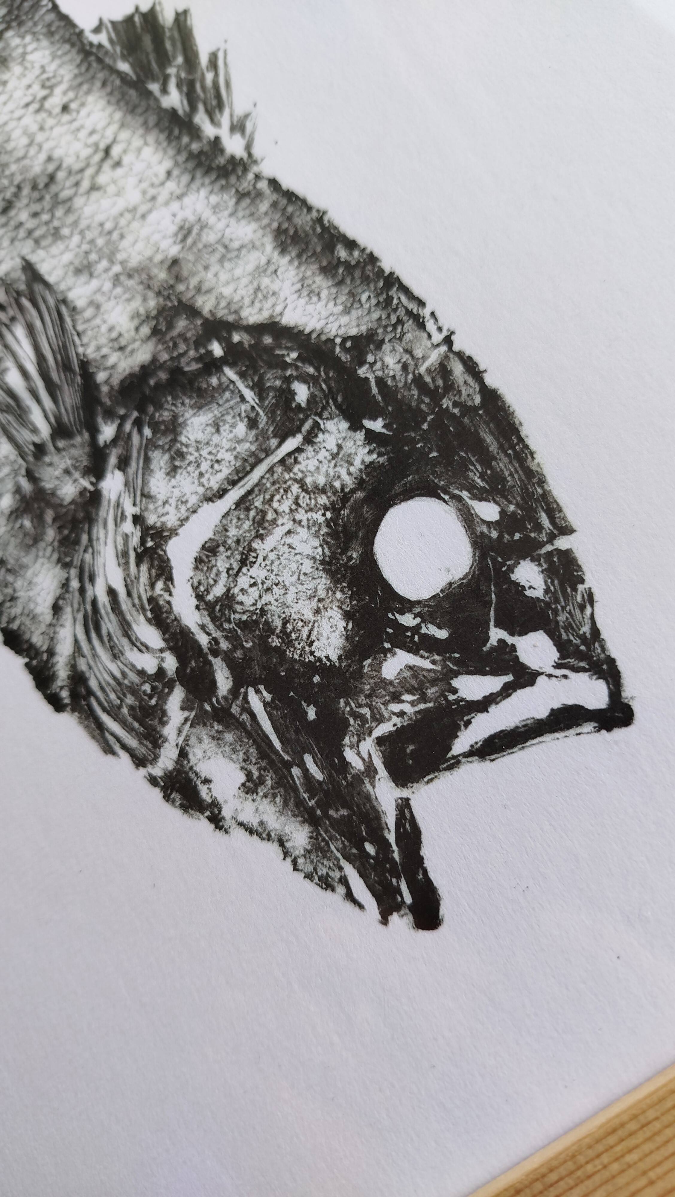 Framed art print, "Print of a bar" (gyotaku)